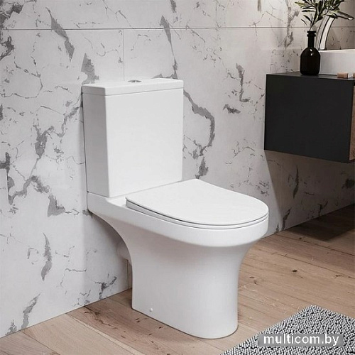 Унитаз Damixa Skyline DX35C8600SC (с сиденьем)