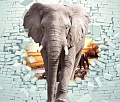 Фотообои Citydecor Слон 3D с защитным покрытием 300x254