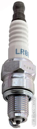 NGK 6208 LR8B