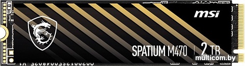 SSD MSI Spatium M470 2TB S78-440Q090-P83