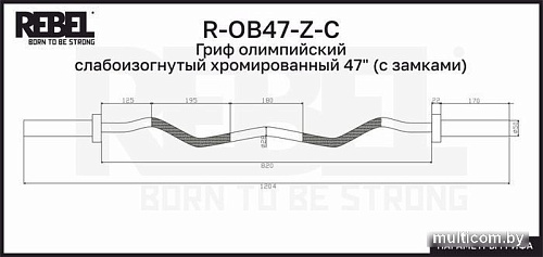 Гриф для штанги Rebel R-OB47-Z-C