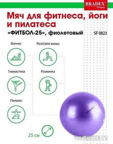 Мяч Bradex Фитбол-25 SF 0823 (фиолетовый)