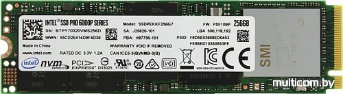 SSD Intel Pro 6000p 256GB [SSDPEKKF256G7X1]