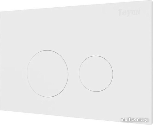 Панель смыва Teymi Lina T70019WM (белый матовый)