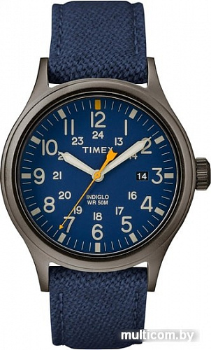 Наручные часы Timex TW2R46200