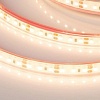 Светодиодная лента Arlight RTW-PS-A120-10mm 12V Warm2700 028547(2)