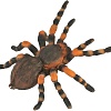 Collecta Мексиканский тарантул 88338b