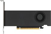 Видеокарта PNY RTX 2000 Ada Generation 16GB GDDR6 VCNRTX2000ADA-SB