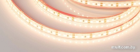 Светодиодная лента Arlight RTW-PS-A120-10mm 12V Warm2700 028547(2)