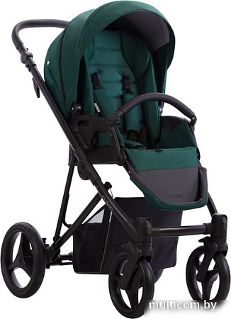 Универсальная коляска BEBETTO Flavio (2 в 1, 12)