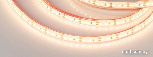 Светодиодная лента Arlight RTW-PS-A120-10mm 12V Warm2700 028547(2)