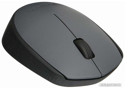 Мышь Logitech M171 (графит)