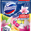 Средство для унитаза Domestos Power 5 Свежесть лайма+Ледяная магнолия (2x50г+3x50г)