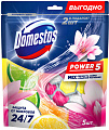 Средство для унитаза Domestos Power 5 Свежесть лайма+Ледяная магнолия (2x50г+3x50г)