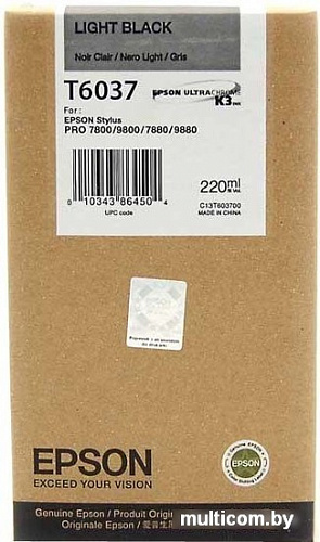 Картридж Epson C13T603700