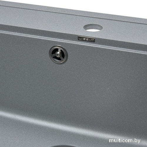 Кухонная мойка Wisent 600-29W (с сифоном GER013)