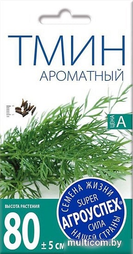 Семена Агроуспех Тмин Ароматный 37181 1 г