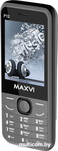 Мобильный телефон Maxvi P12 (серый)
