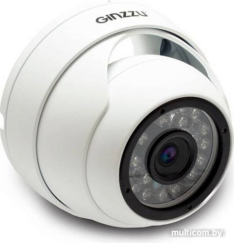 IP-камера Ginzzu HID-5301A