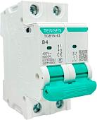 Выключатель автоматический Tengen TGB1N-63 2P 4A B 6kA 2M TGB1N-63-2-04B