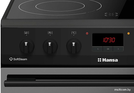 Кухонная плита Hansa FCCM58209H