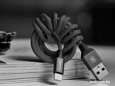 Кабель Baseus CALYW-A01