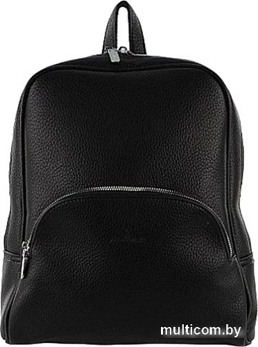 Городской рюкзак Passo Avanti 877-53813-960-BLK (черный)