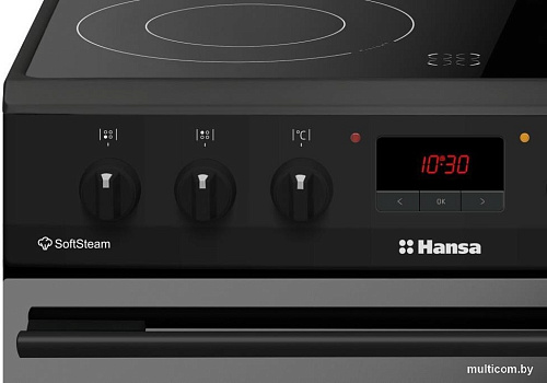 Кухонная плита Hansa FCCM58209H