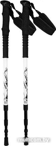 Треккинговые палки Atemi ATP-06 (серебристый)