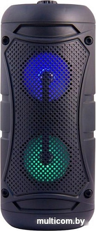 Беспроводная колонка Magic Acoustic Allegro BK1001