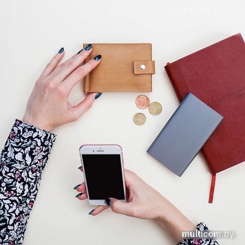 Зажим для денег EZcase Standart Pro (песочный)
