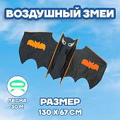 Воздушный змей Funny Toys Летучая мышь 3949853