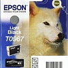Картридж Epson C13T09674010