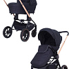 Универсальная коляска Rant MOWbaby Zoom PU (2 в 1, gold black)