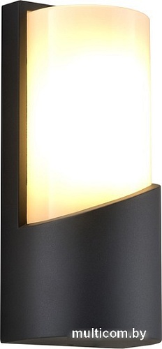 Уличный настенный светильник ESCADA 30004W/01 (темно-серый)