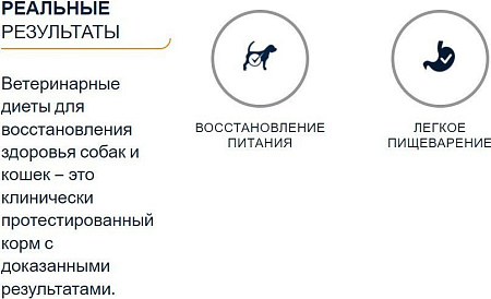 Advance Diets Recovery 100 г