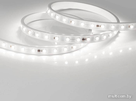 Светодиодная лента Arlight ARL-PV-B54-15.5mm 027056(2)