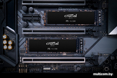 SSD Crucial P5 250GB CT250P5SSD8