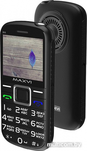 Мобильный телефон Maxvi B5 (черный)