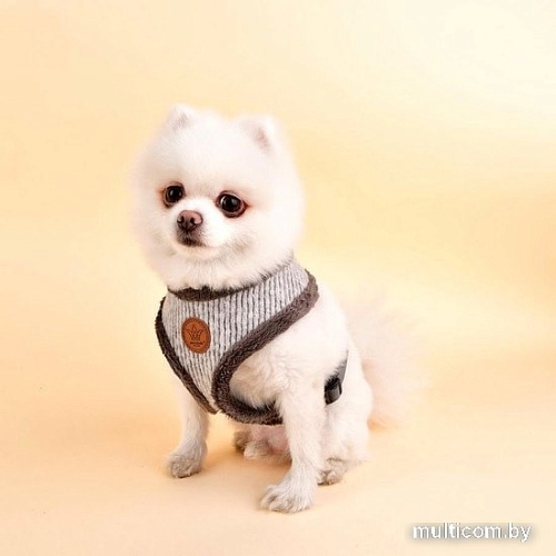 Шлейка Pinkaholic Zuri NASD-HA7505-GY-S (серый)