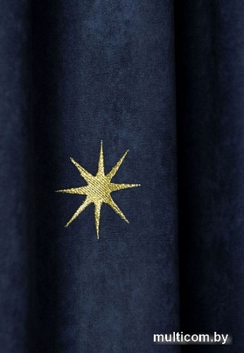 Комплект штор Pasionaria Бэлли 290x230 (2 шт, синий)