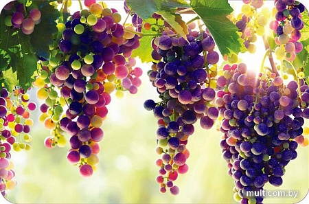 Предметы сервировки Grace Виноград 41х27 ТП10023775