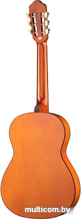 Акустическая гитара Homage LC-3600