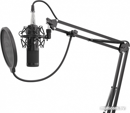 Микрофон Genesis Radium 300 XLR