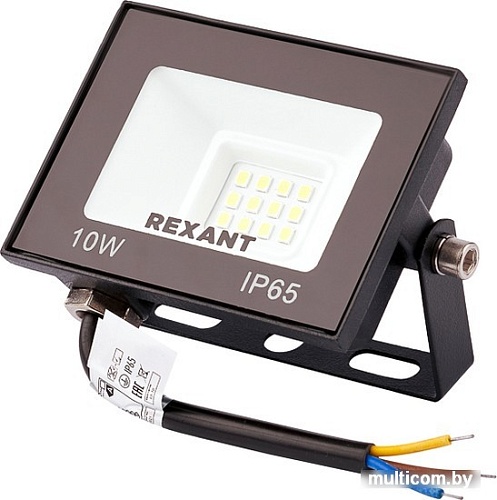 Уличный прожектор Rexant 605-036