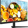 Монитор Hikvision DS-D5024FN11