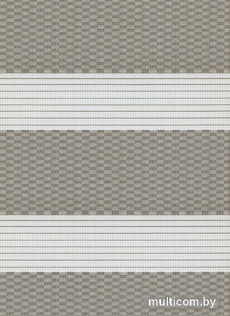 Шторы день-ночь Delfa Сантайм День-Ночь Масо МКД DN-41605 (52x160, серый)