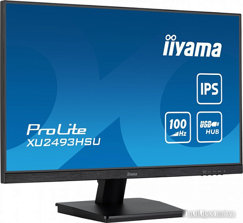 Монитор Iiyama XU2493HSU-B6