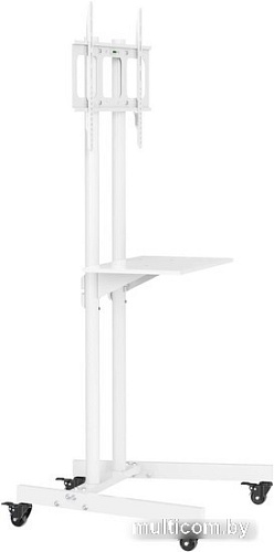 Кронштейн CACTUS CS-ST04WT