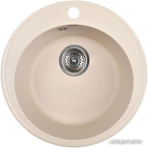 Кухонная мойка Wisent 480-30WR (с сифоном GER013)